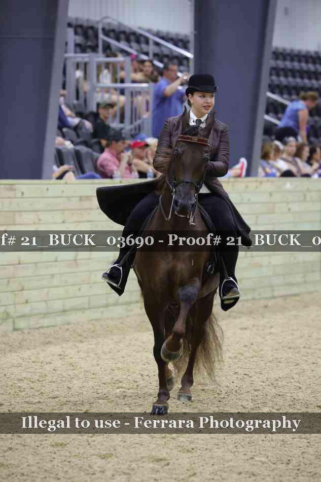 Proof 21_BUCK_03690