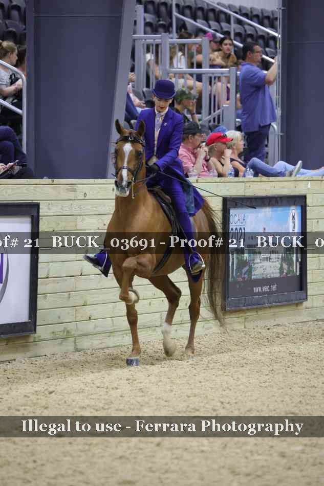 Proof 21_BUCK_03691