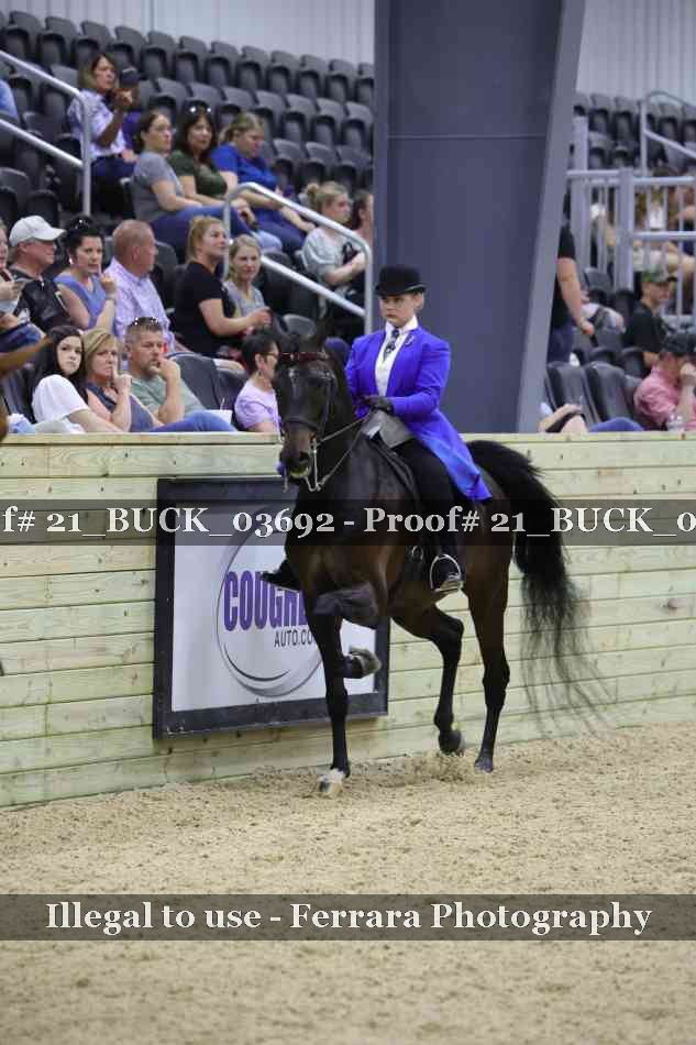 Proof 21_BUCK_03692