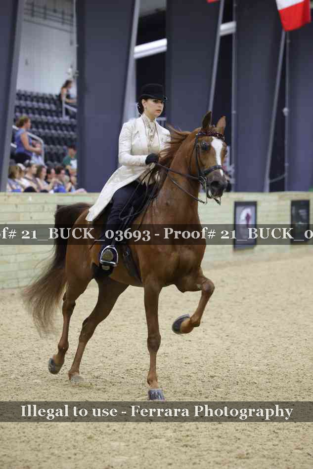 Proof 21_BUCK_03693