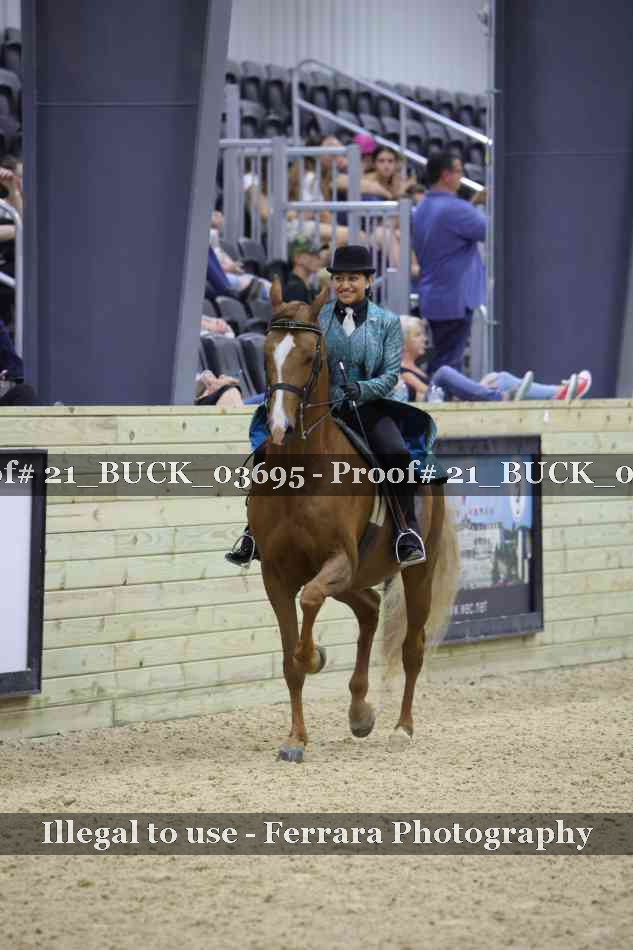 Proof 21_BUCK_03695