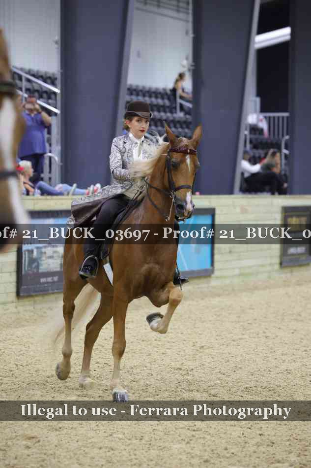 Proof 21_BUCK_03697
