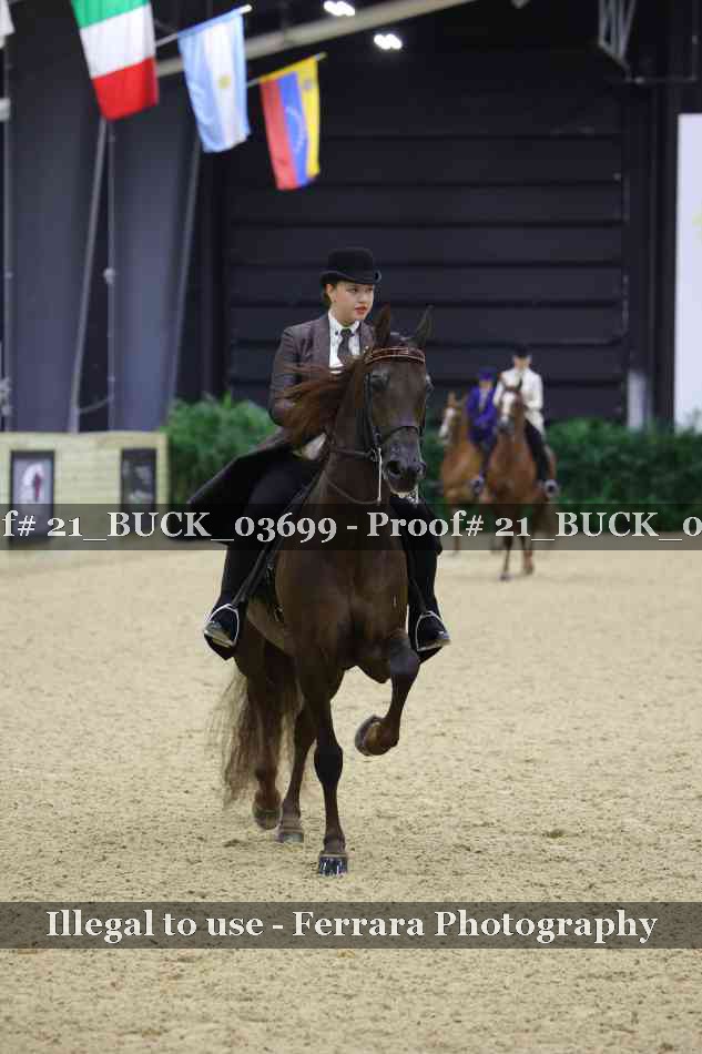 Proof 21_BUCK_03699
