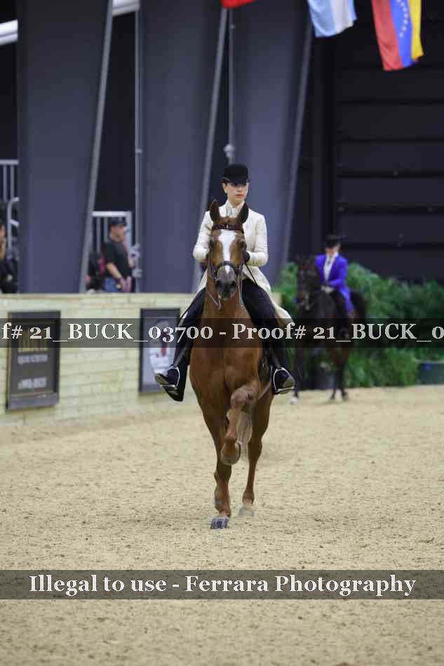 Proof 21_BUCK_03700