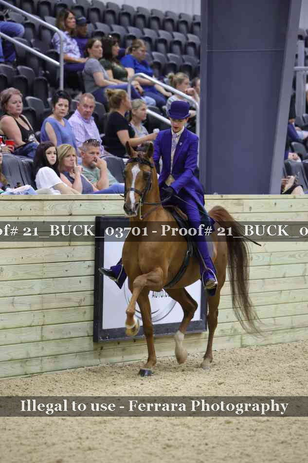 Proof 21_BUCK_03701
