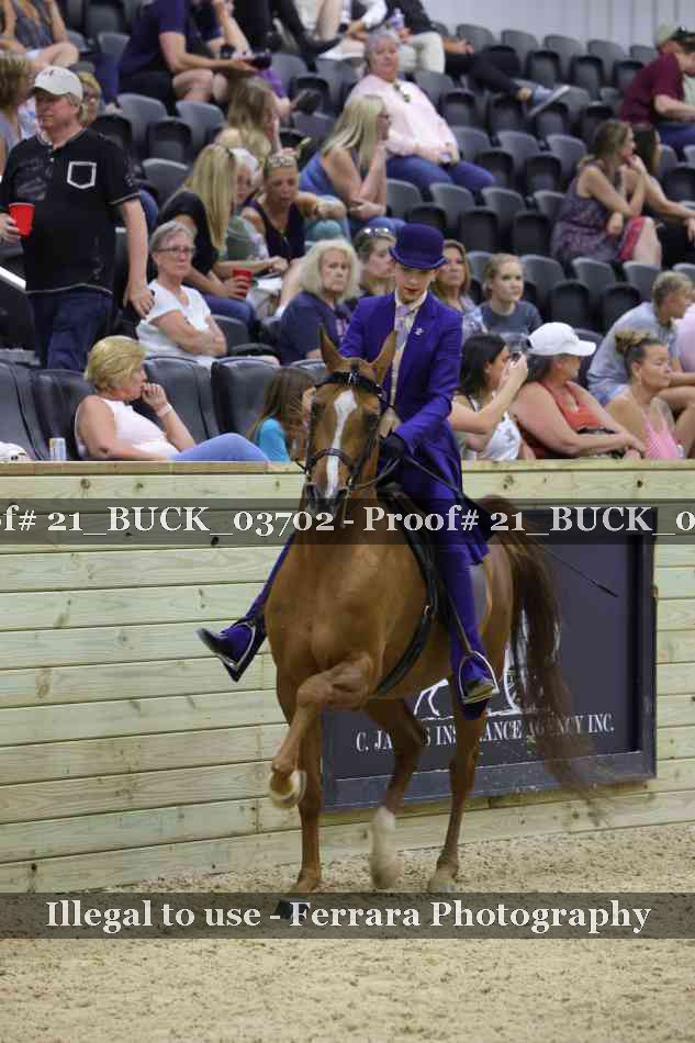 Proof 21_BUCK_03702