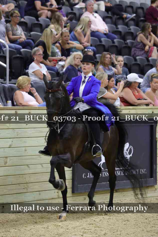 Proof 21_BUCK_03703
