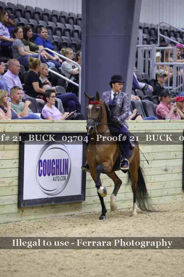Proof 21_BUCK_03704