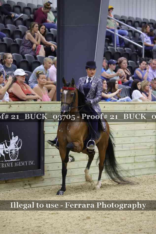 Proof 21_BUCK_03705