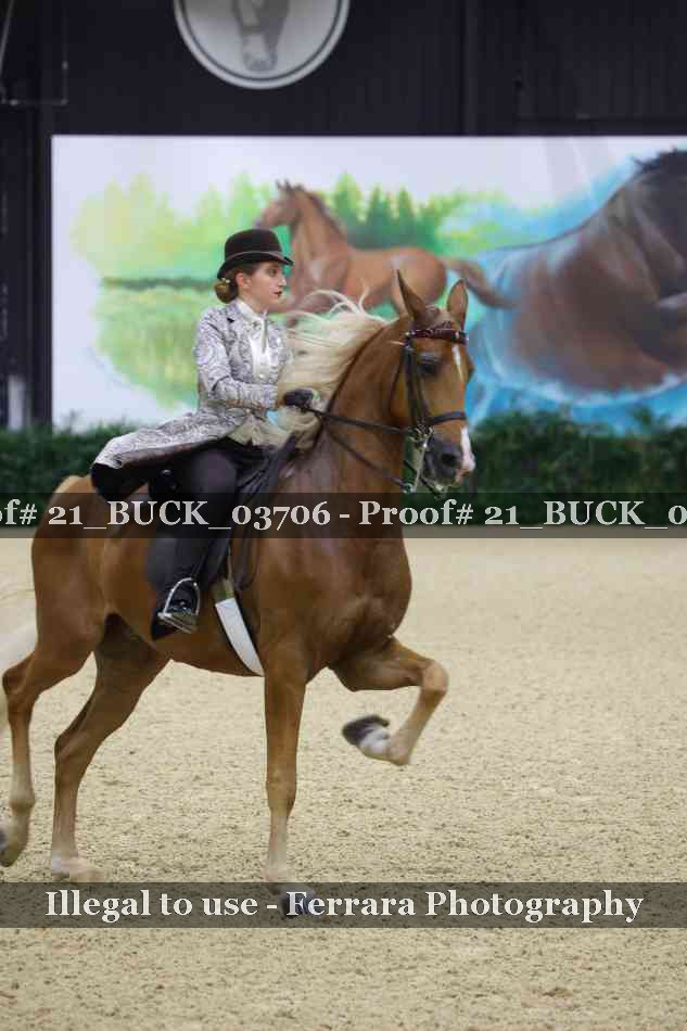 Proof 21_BUCK_03706