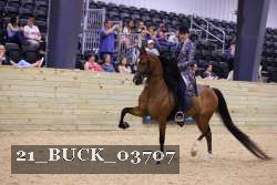 21_BUCK_03707 proof