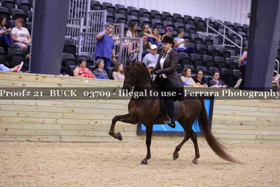 Proof 21_BUCK_03709