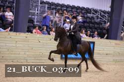 21_BUCK_03709 proof