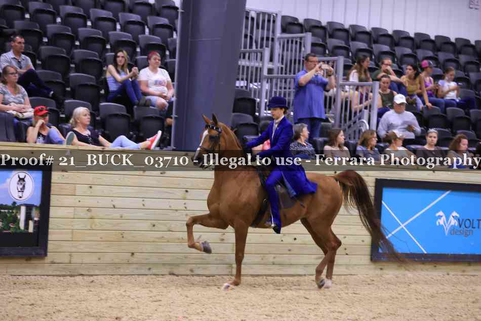 Proof 21_BUCK_03710