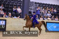 21_BUCK_03710 proof