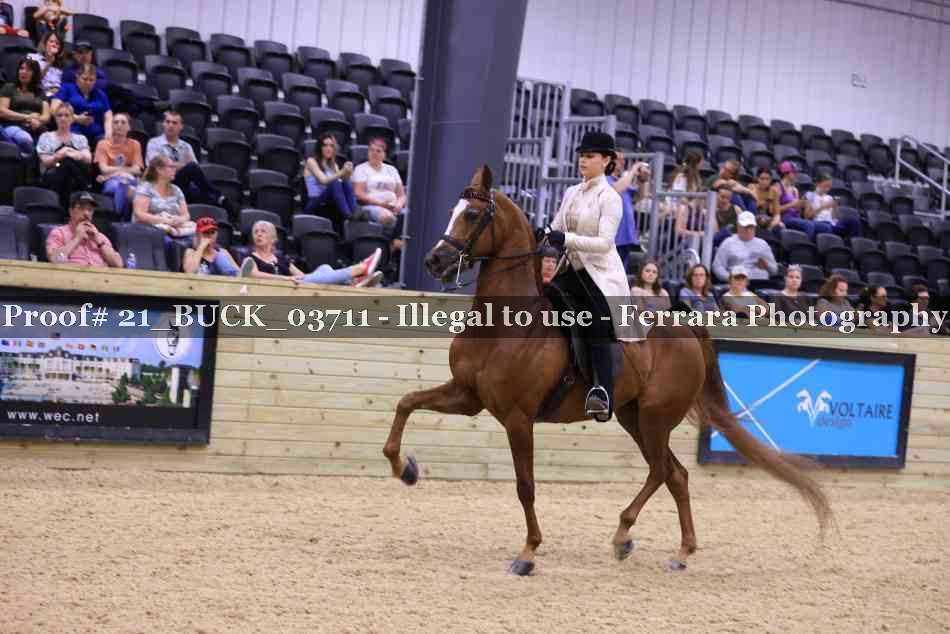 Proof 21_BUCK_03711