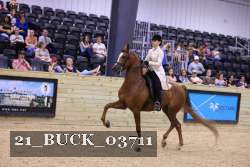 21_BUCK_03711 proof