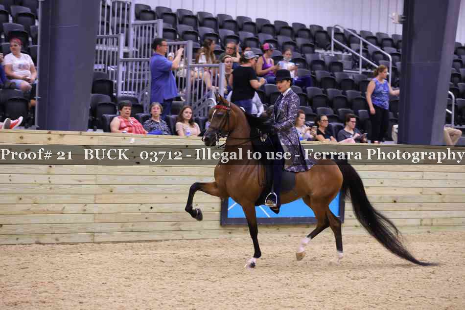Proof 21_BUCK_03712