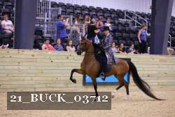 21_BUCK_03712 proof