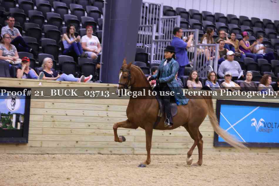Proof 21_BUCK_03713