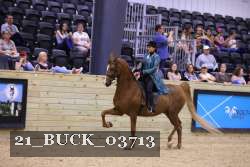 21_BUCK_03713 proof