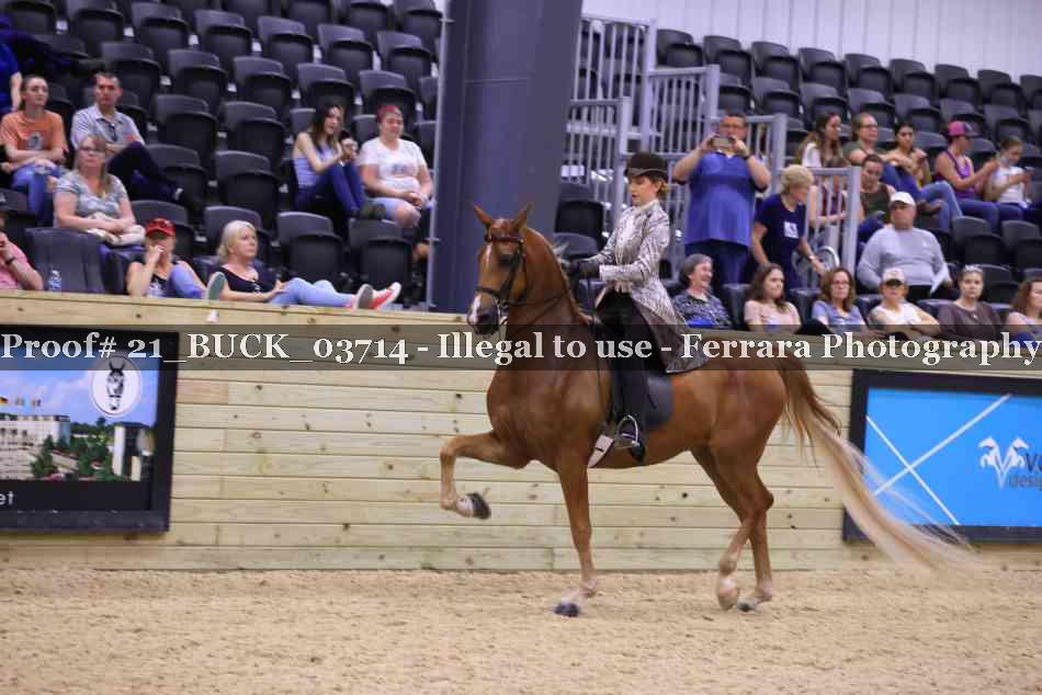 Proof 21_BUCK_03714