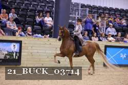 21_BUCK_03714 proof