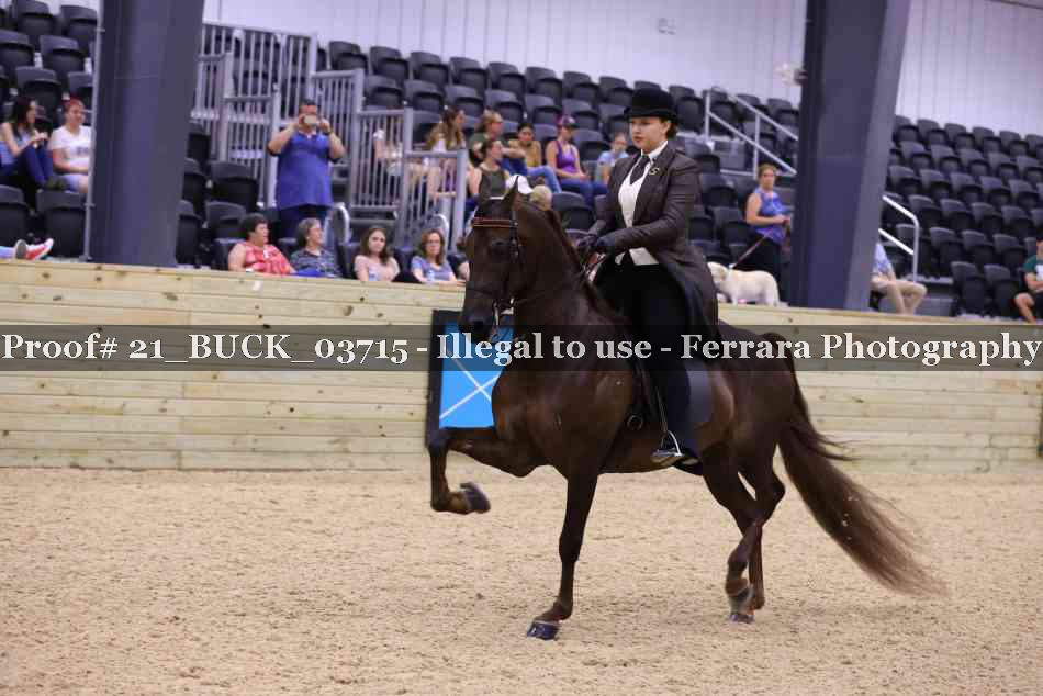 Proof 21_BUCK_03715