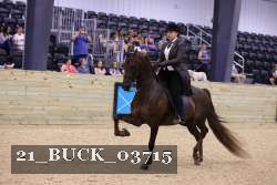 21_BUCK_03715 proof