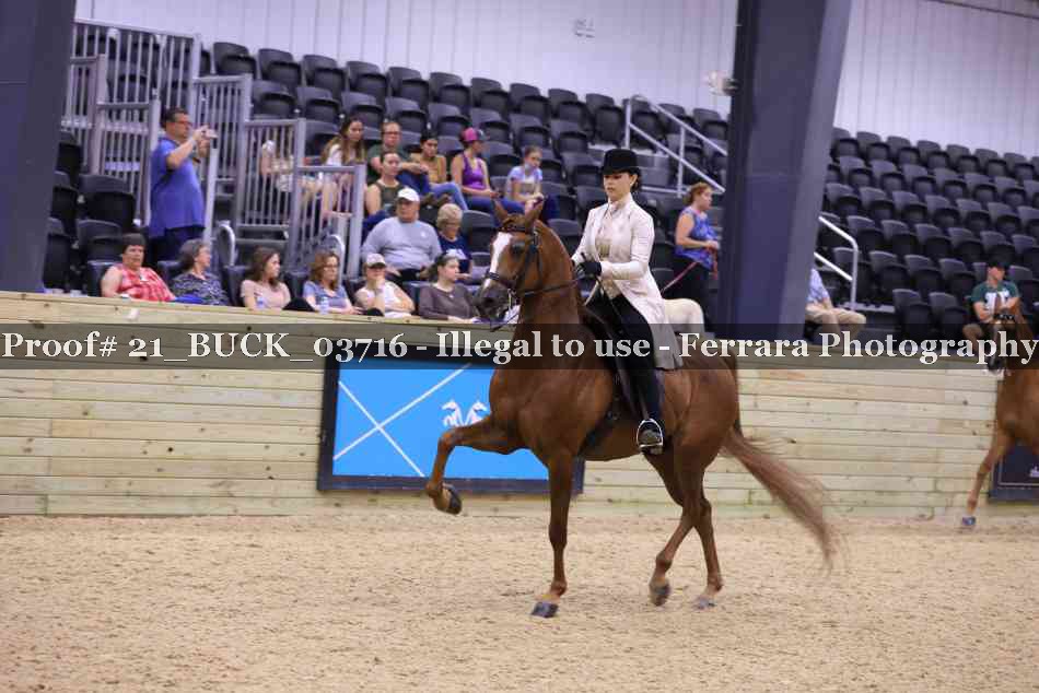 Proof 21_BUCK_03716