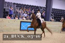 21_BUCK_03716 proof
