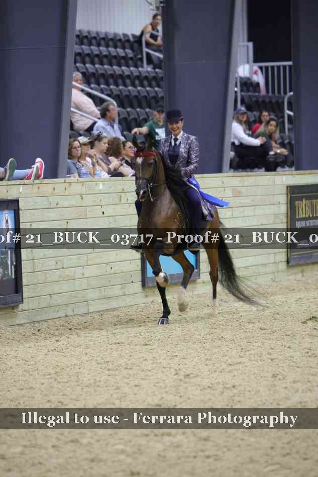 Proof 21_BUCK_03717
