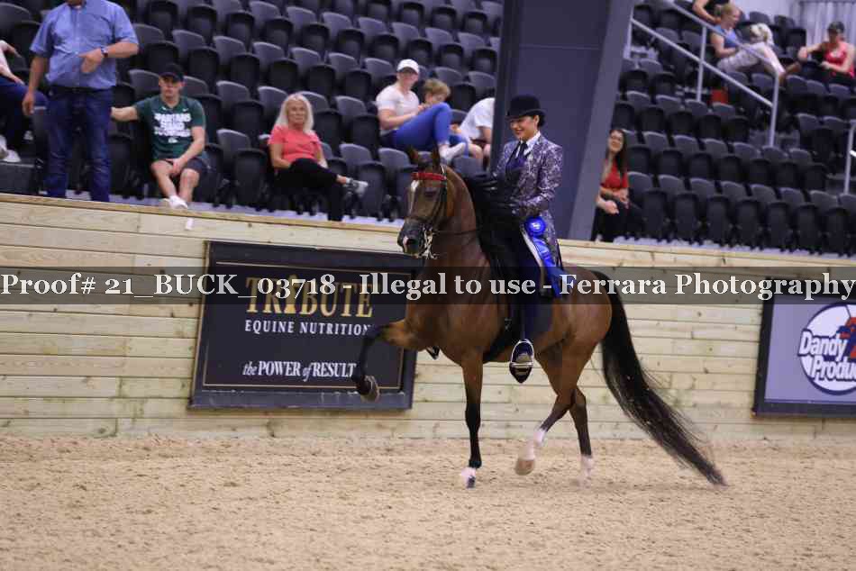 Proof 21_BUCK_03718