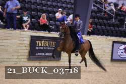 21_BUCK_03718 proof