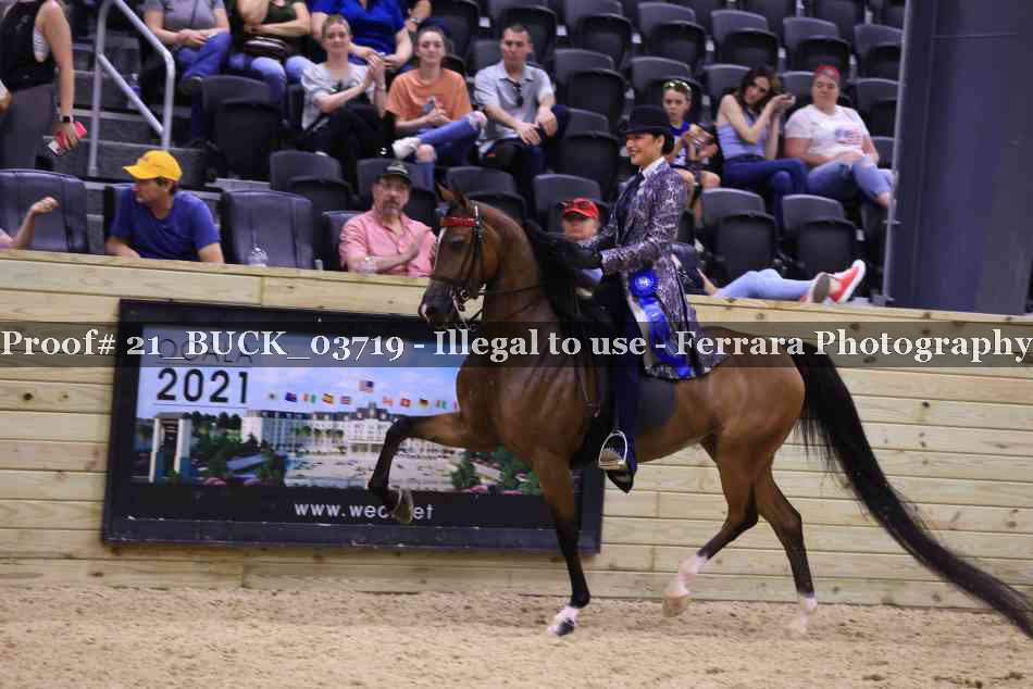 Proof 21_BUCK_03719