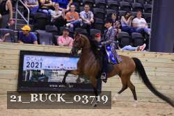 21_BUCK_03719 proof
