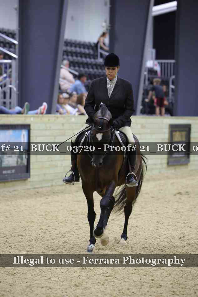 Proof 21_BUCK_03720