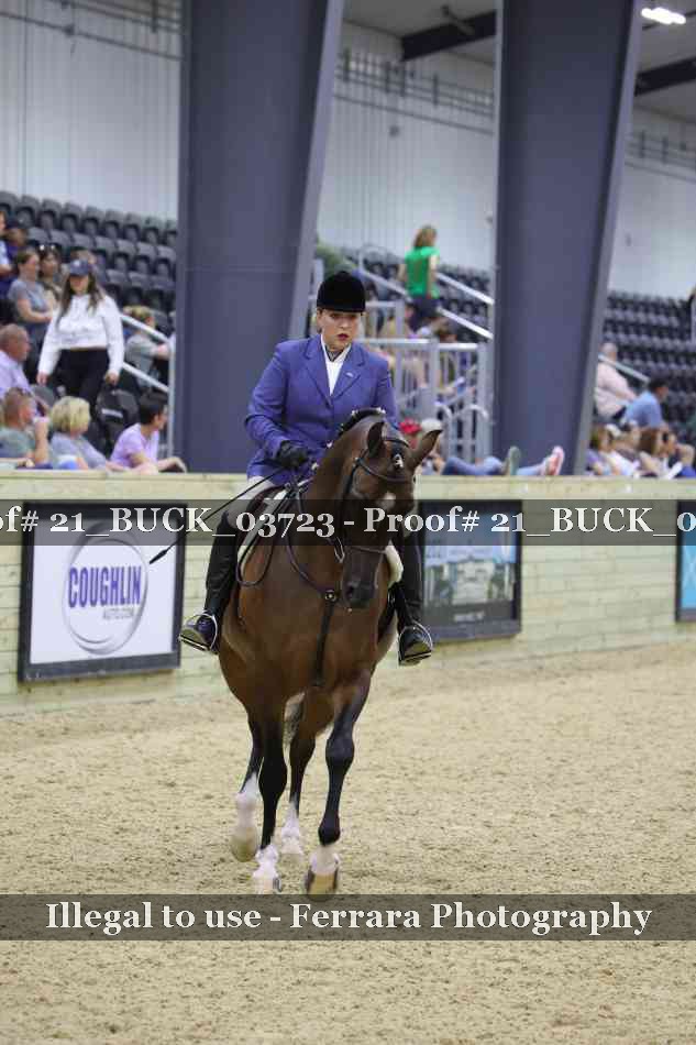 Proof 21_BUCK_03723