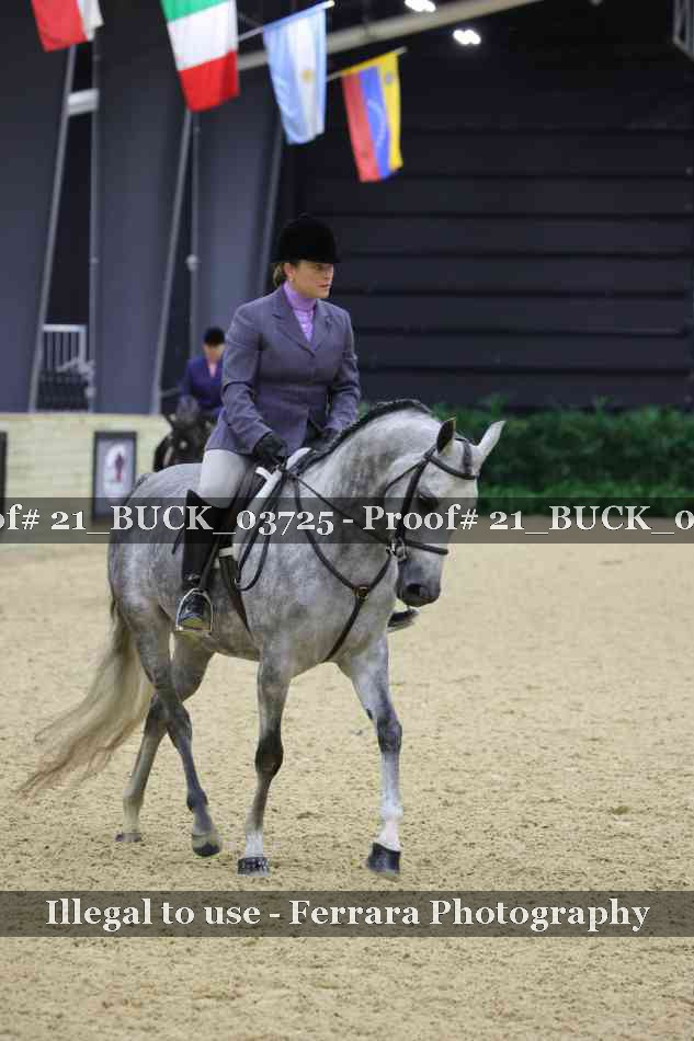 Proof 21_BUCK_03725
