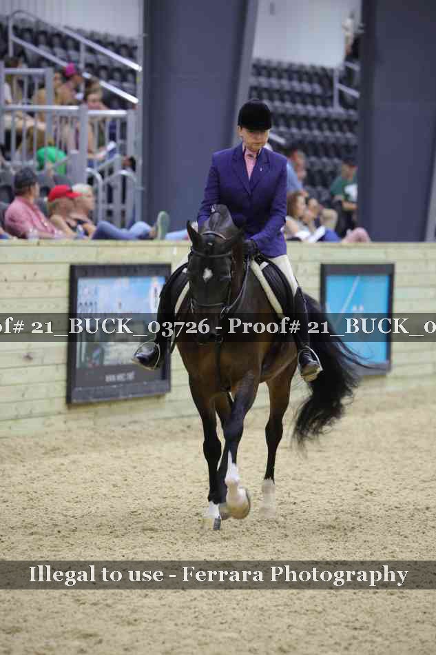 Proof 21_BUCK_03726
