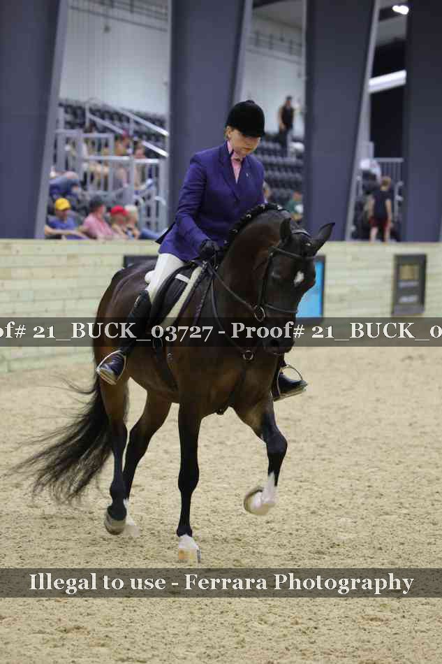 Proof 21_BUCK_03727