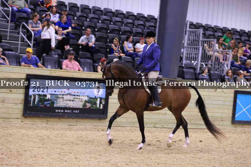 Proof 21_BUCK_03731