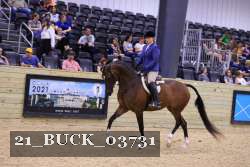 21_BUCK_03731 proof