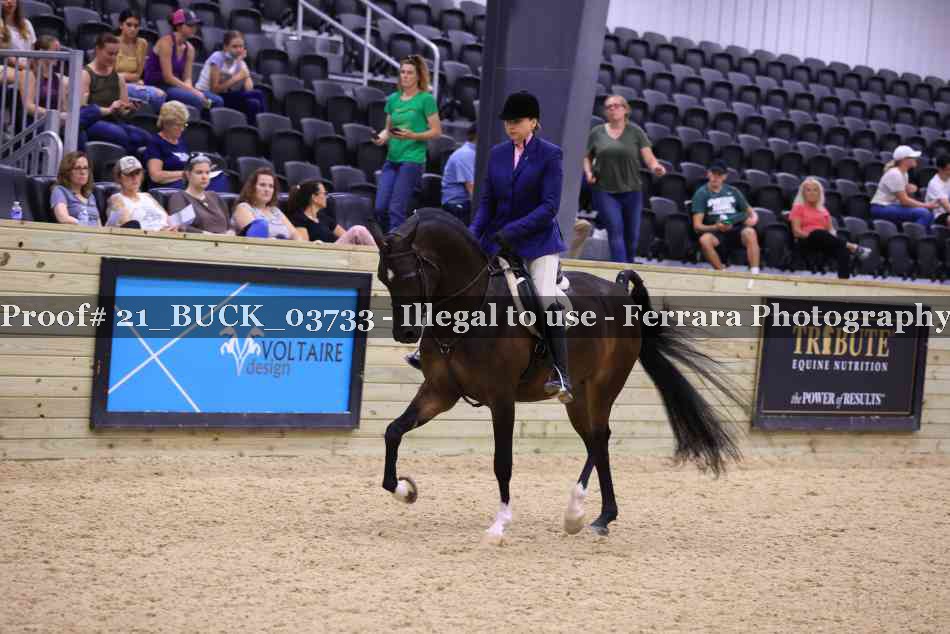 Proof 21_BUCK_03733