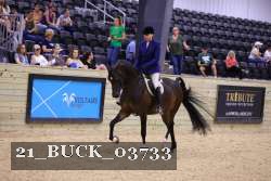 21_BUCK_03733 proof