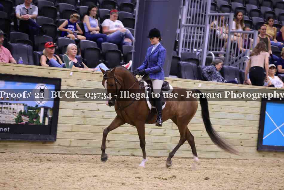 Proof 21_BUCK_03734