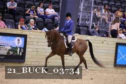 21_BUCK_03734 proof