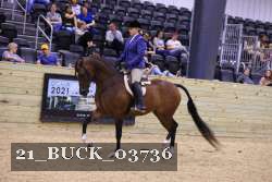 21_BUCK_03736 proof