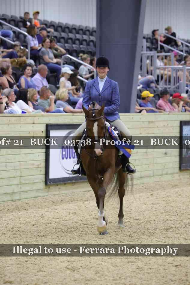 Proof 21_BUCK_03738