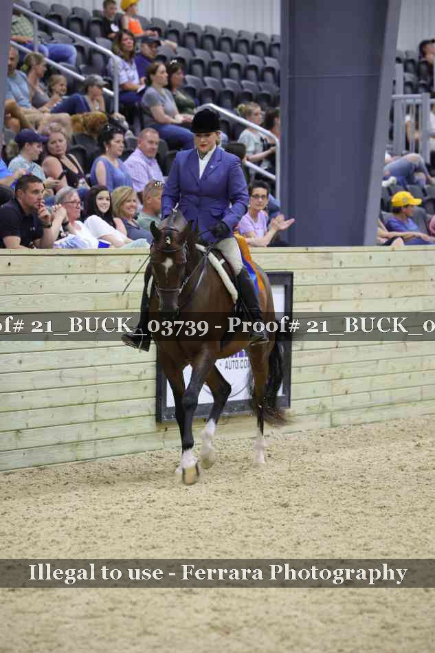 Proof 21_BUCK_03739